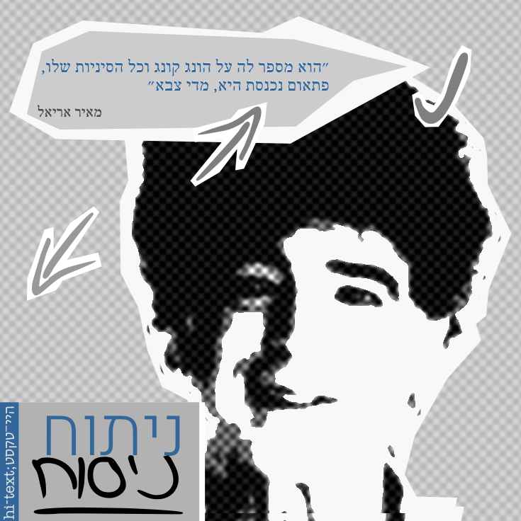ניתוח-ניסוח: מאיר אריאל